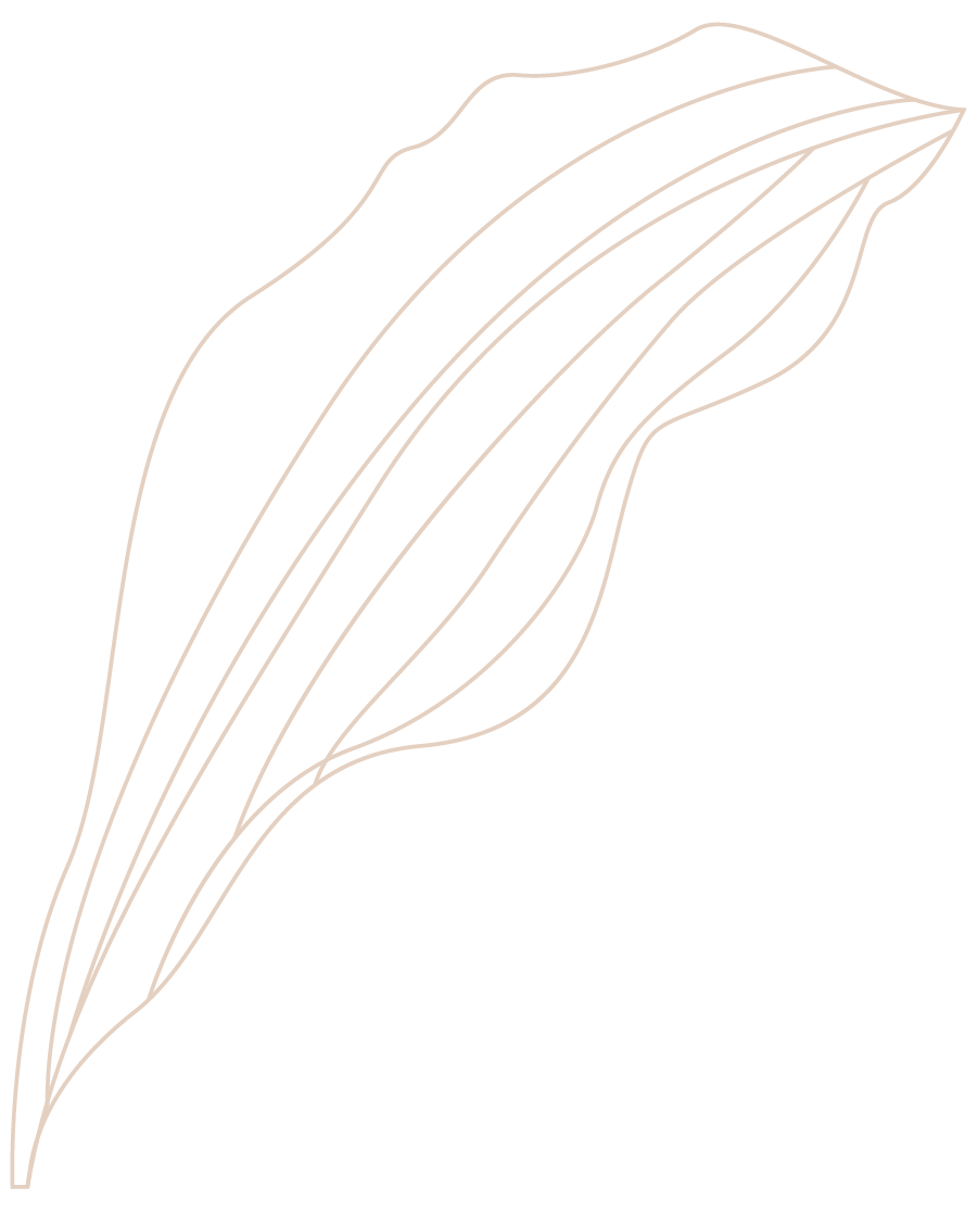 leaf-animo-ristorante-sx